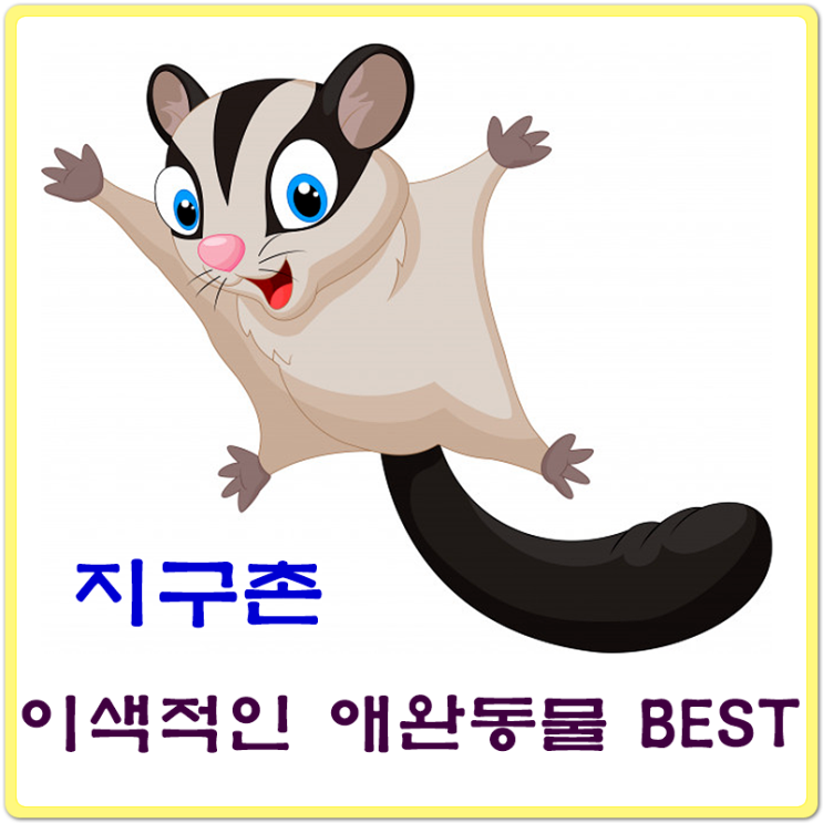  지구촌, 이색적인 희귀 애완동물 Best6