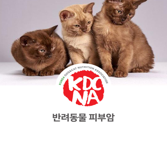 [강아지 고양이 펫푸드 정보] 익산 나의반려 펫영양사가 알려주는 개와 고양이 피부암 급증_707