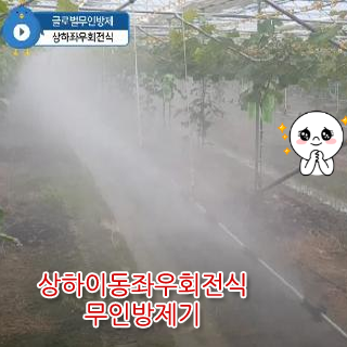  대부도 벤치마케팅 포천포도작목회 켐벨리어포도