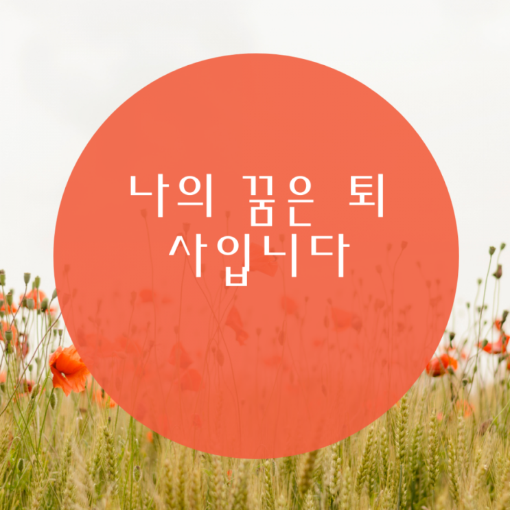  무인점포 창업 스마트 스토어 시작-타오바오 직박구리?