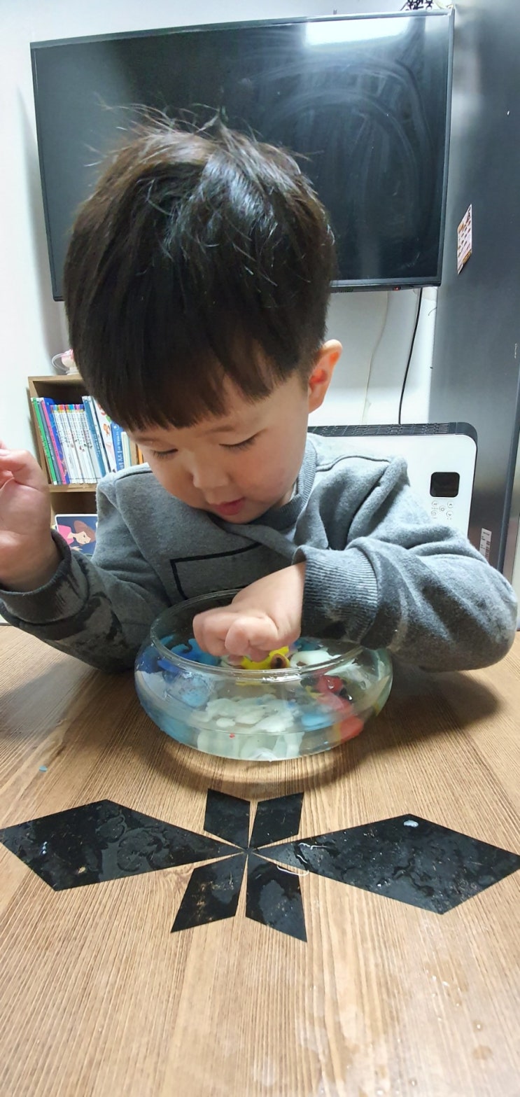  아쿠아매직 사파리공룡월드