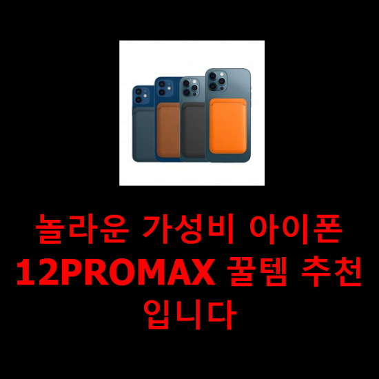 놀라운 가성비 아이폰12PROMAX 꿀템 추천입니다