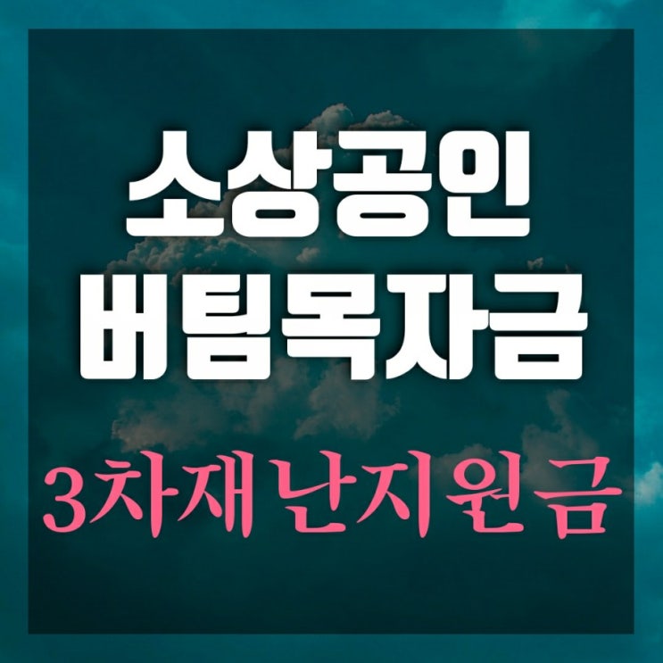 소상공인 버팀목자금 3차재난지원금 대상자(자영업자 특고 프리랜서) 소상공인 버팀목자금 3차재난지원금 대상자(자영업자 특고 프리랜서)