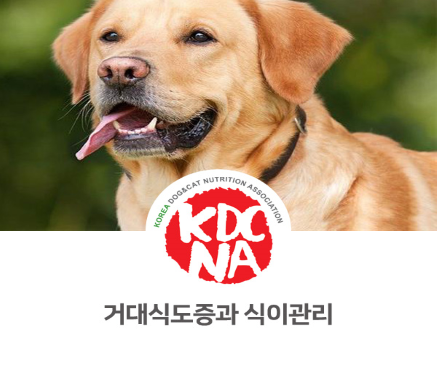  [강아지 고양이 구토 펫푸드 펫영양사 정보] 익산/군산 나의반려가 알려주는 거대식도증과 식이관리_708