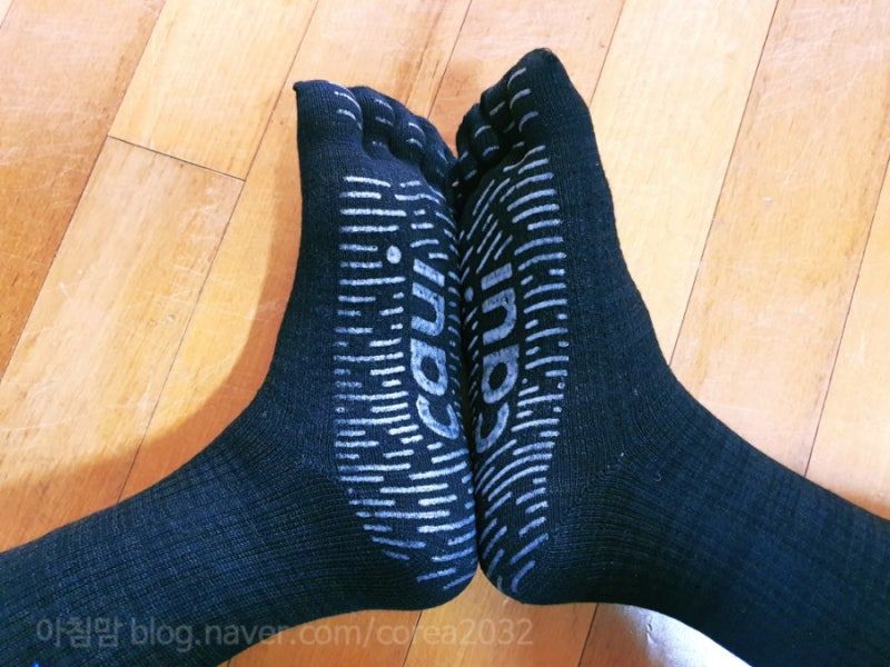 카우아이 스튜디오기어