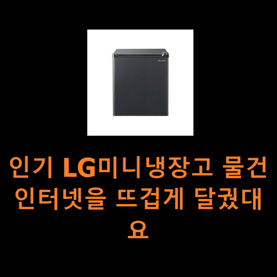 인기 LG미니냉장고 물건 인터넷을 뜨겁게 달궜대요 인기 LG미니냉장고 물건 인터넷을 뜨겁게 달궜대요