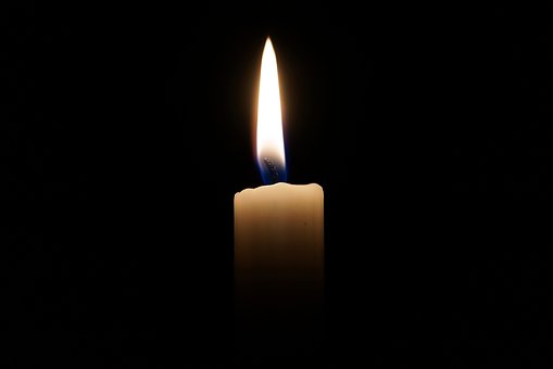 그들이 남긴 죽음과 삶 그들이 남긴 죽음과 삶