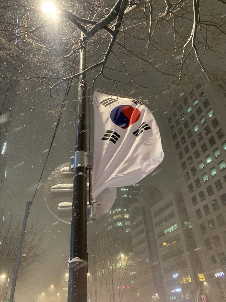  [리뷰] 1/6 테헤란로 역삼역 폭설(설베리아, 테베리아, 설탈린그라드)
