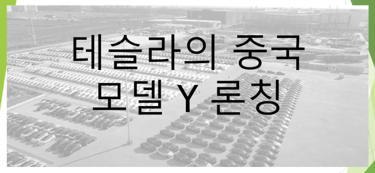  테슬라 모델 Y 중국에서 판매 개시 및 가격