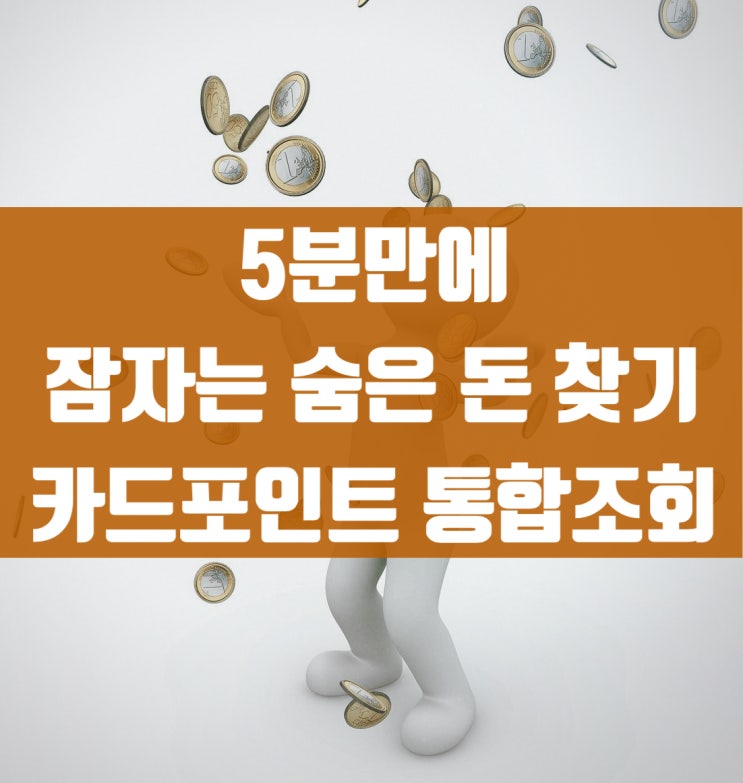 5분만에 잠자고 있는 숨은 돈 찾기, 카드포인트 통합조회