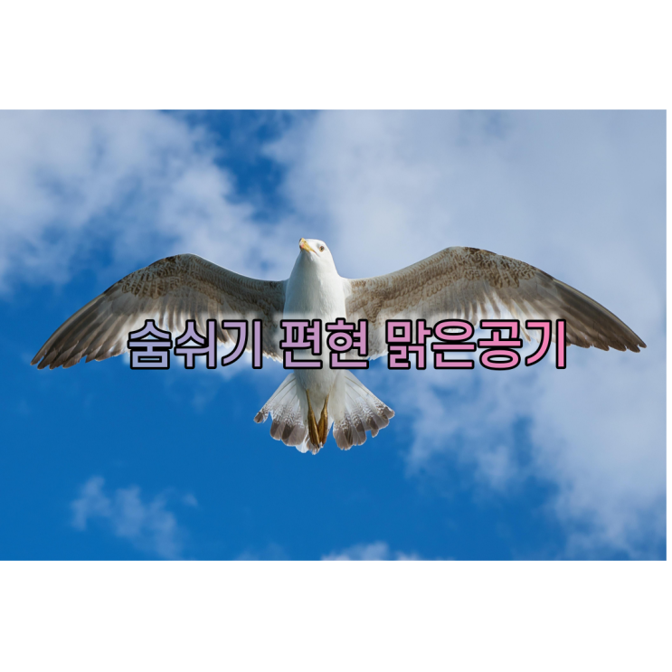  20평형 공기청정기 뉴 히어로