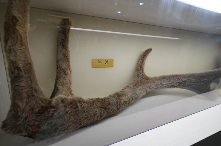  부천소화불량치료 한의원에서 할 수 있어요
