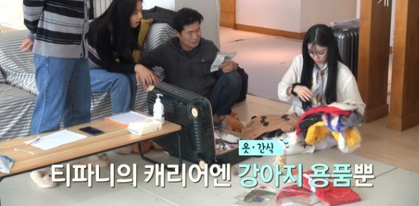 소시 티파니가 강아지 사진을 열심히 찍은 이유 소시 티파니가 강아지 사진을 열심히 찍은 이유
