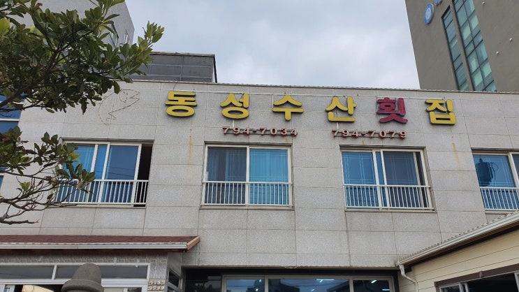  가성비 좋은 서귀포 모슬포 맛집, 동성수산