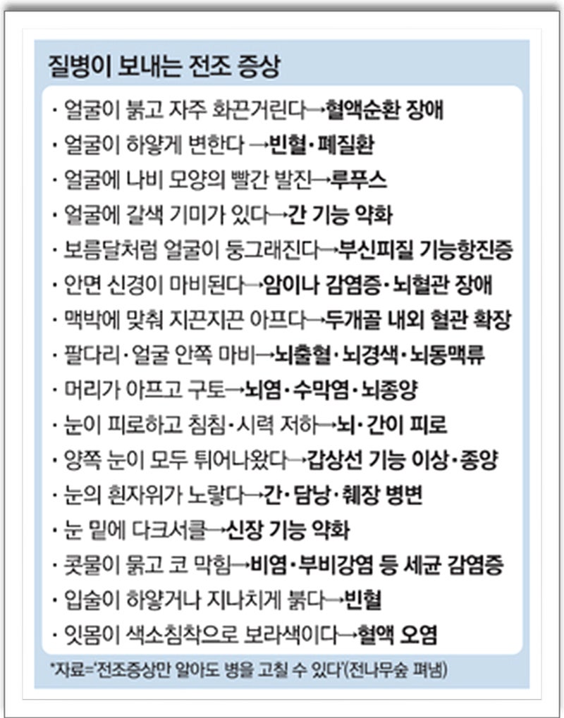 Untitled, image size:800x1019