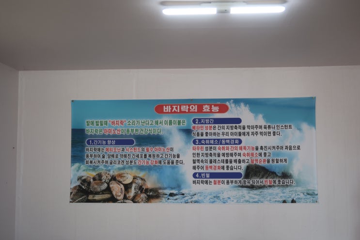  포항 맛집 리스트 | 구룡포 근처 회 대게 말고 칼국수 먹으러 '면대장 바지락 생 칼국수'