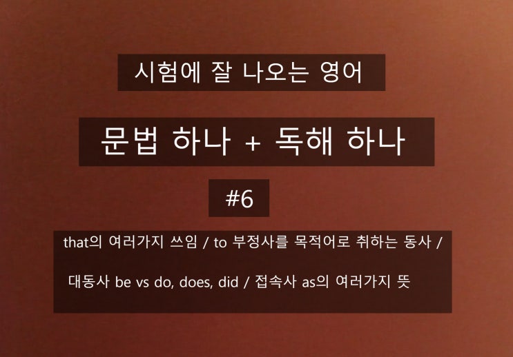  문법 하나 + 독해 하나(#6) ; that의 여러가지 쓰임 / to부정사를 목적어로 취하는 동사 / 대동사be vs do / 접속사 as의 여러가지 뜻