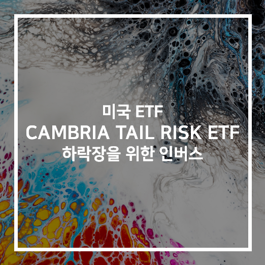  TAIL ETF - 폭락에 대비하는 보험 (Tail Risk)