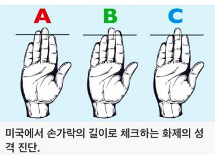  손가락길이 연구