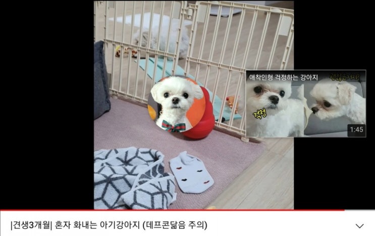  유튜브 다음동영상 추천영상 링크거는법