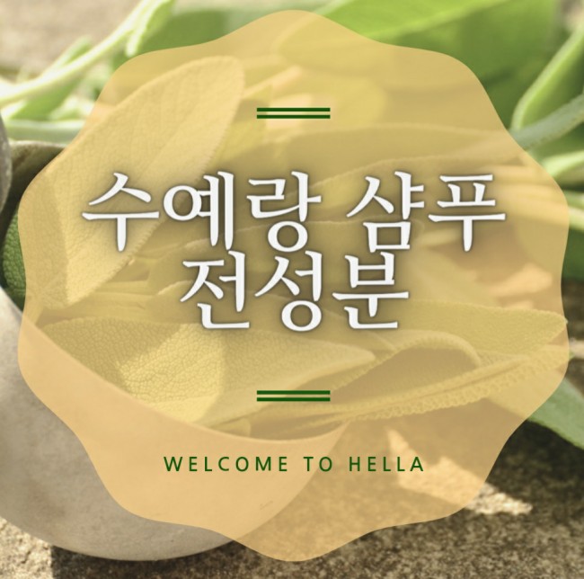  수예랑샴푸 전성분 탈탈 털어드립니다/효과가 왜 이렇게 좋은지 확인하세요!!