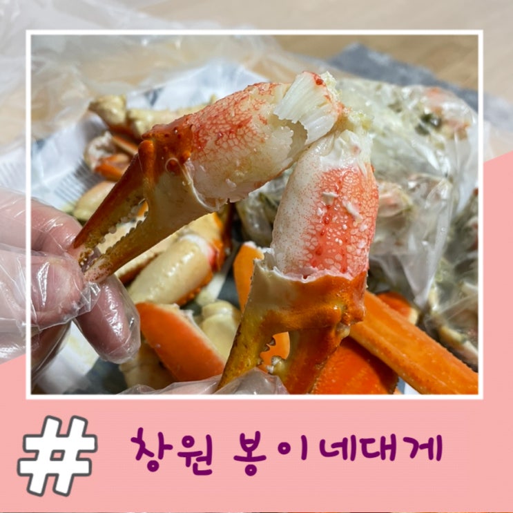  창원 대게 맛집 '봉이네대게' 박달대게 포장 내돈내산 후기 