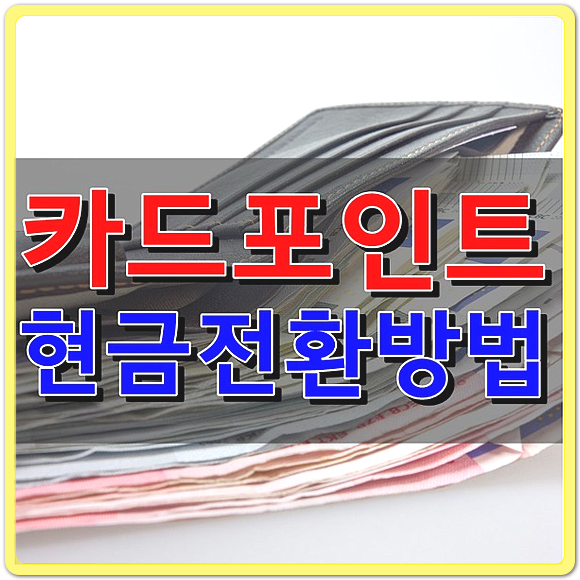 흩어진 카드포인트 초간단 현금화 시키기, 카드포인트 통합조회