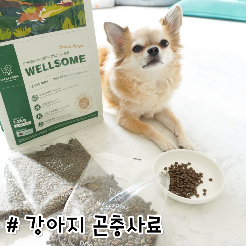 반려견 사료에 첨가된 성분을 일상에서 접하는 음식으로 대체하는 방법