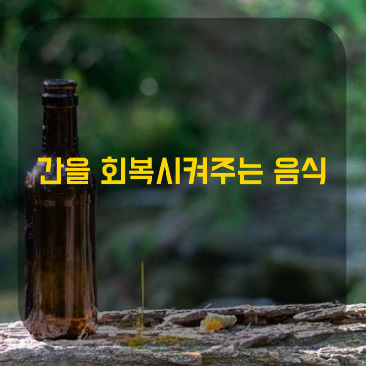  간을 회복시켜주는 음식