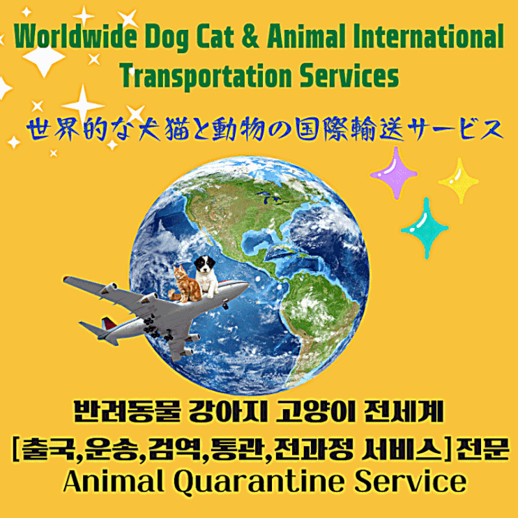  싱가폴 강아지검역 고양이한국출국 입국 통관 반려동물해외운송  계류허가[서비스편]
