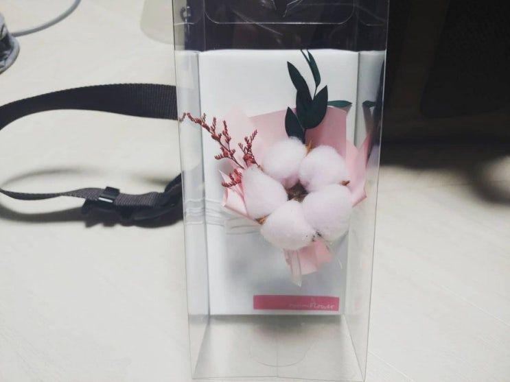  2020년11월11일 수요일 - 빼빼로 데이