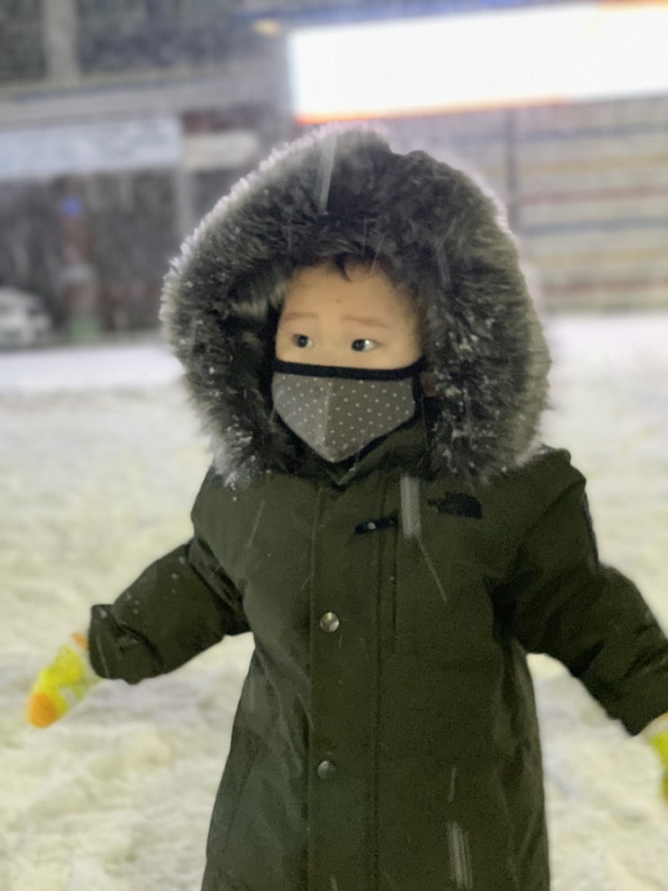  눈이 많이 내려요! 눈구경 산책 다녀왔어요
