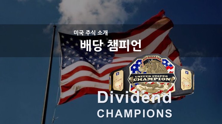 [미국 주식 소개] 배당챔피언 Dividend Champions List (엑셀) / 배당주식 투자 / 배당 등급 / 엑슨 모빌, 월그린, TDS, FLIC, NJR 주가