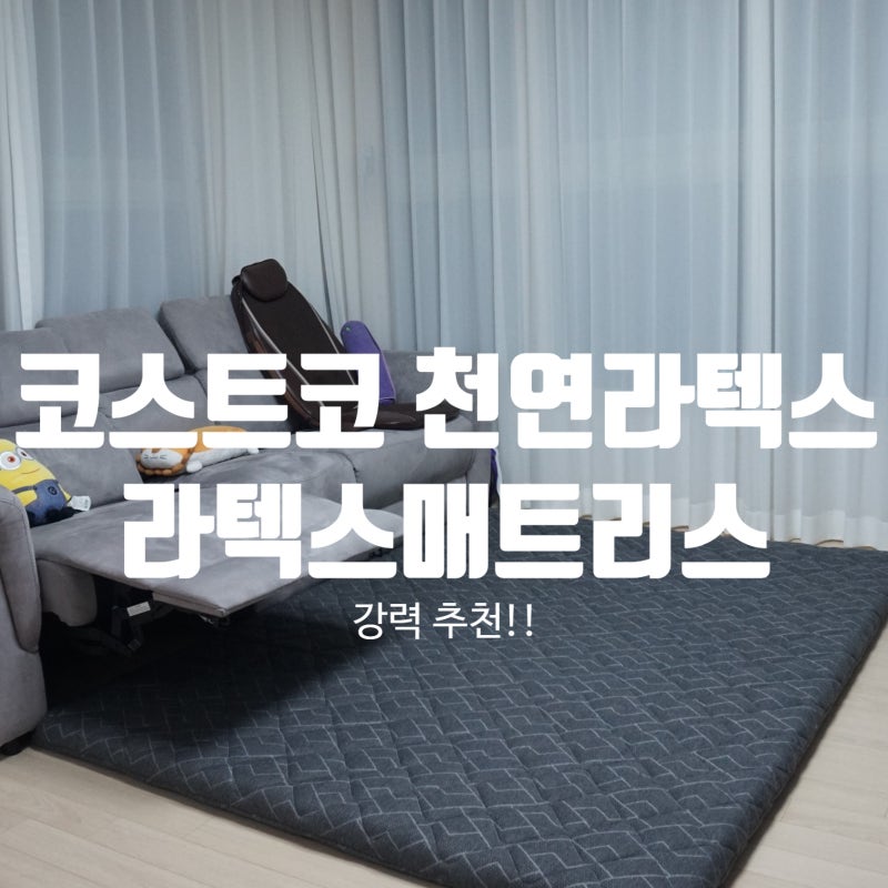 코스트코 천연라텍스 브랜드 추천해요!