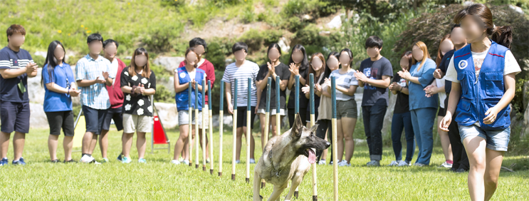 서정대학교 애완동물학과