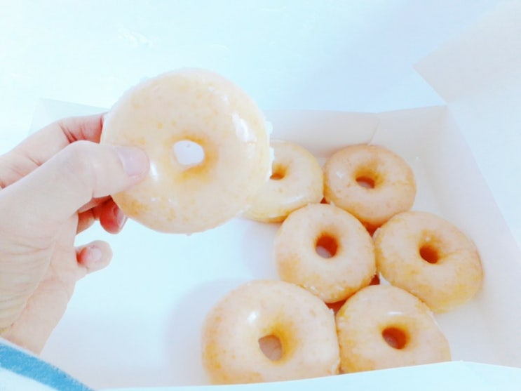  롯데피트인에서 모던하우스 라탄, 크리스피도넛과 사랑에 빠지다