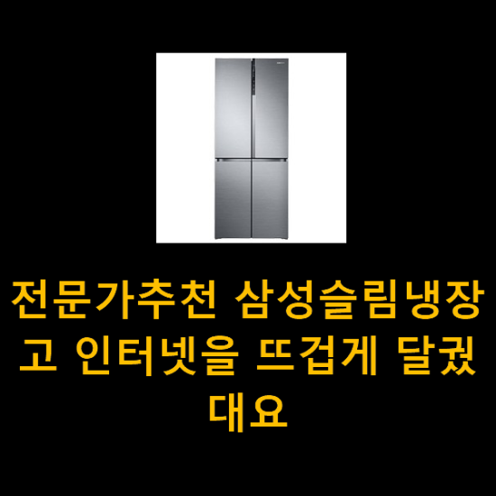 전문가추천 삼성슬림냉장고 인터넷을 뜨겁게 달궜대요 전문가추천 삼성슬림냉장고 인터넷을 뜨겁게 달궜대요