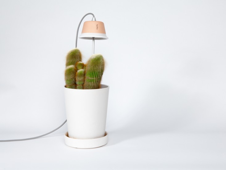 식물 성장 촉진 DIY LED 식물조명 만들기 연출 식물 성장 촉진 DIY LED 식물조명 만들기 연출