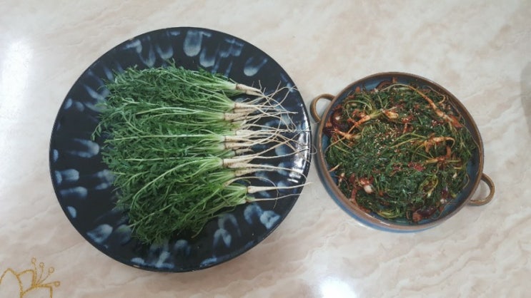 쌈 한번 허자 쌈 한번 허자