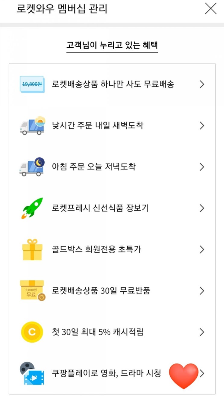  쿠팡플레이 어플 무료(쿠팡, 로켓와우 멤버십, 와우회원, 넷플릭스, NETFLIX, 월정액, 퍼피구조대, 도라)