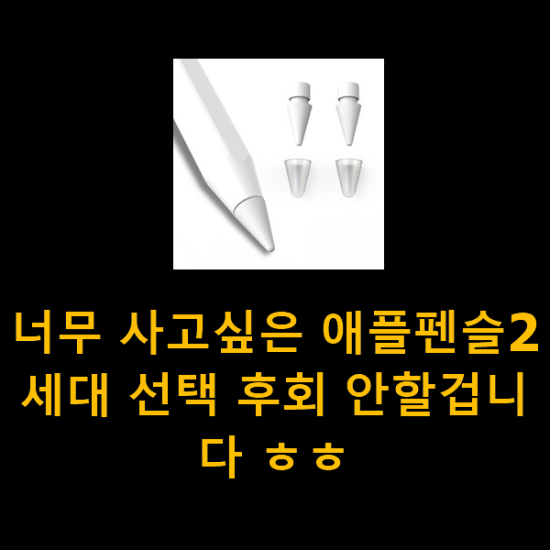 너무 사고싶은 애플펜슬2세대 선택 후회 안할겁니다 ㅎㅎ