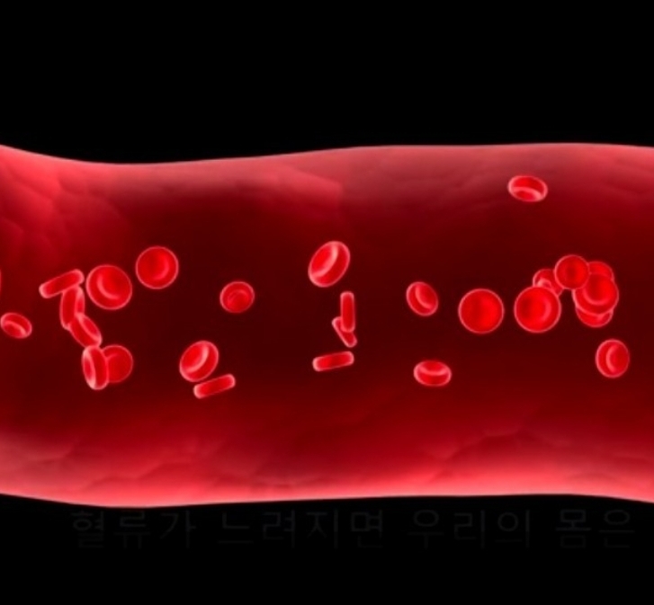  두통 어지러움(어지럼증) 휘청거림 목어깨결림 뇌경색 혈액 관찰과 순환 |  유니시티코리아 유여림