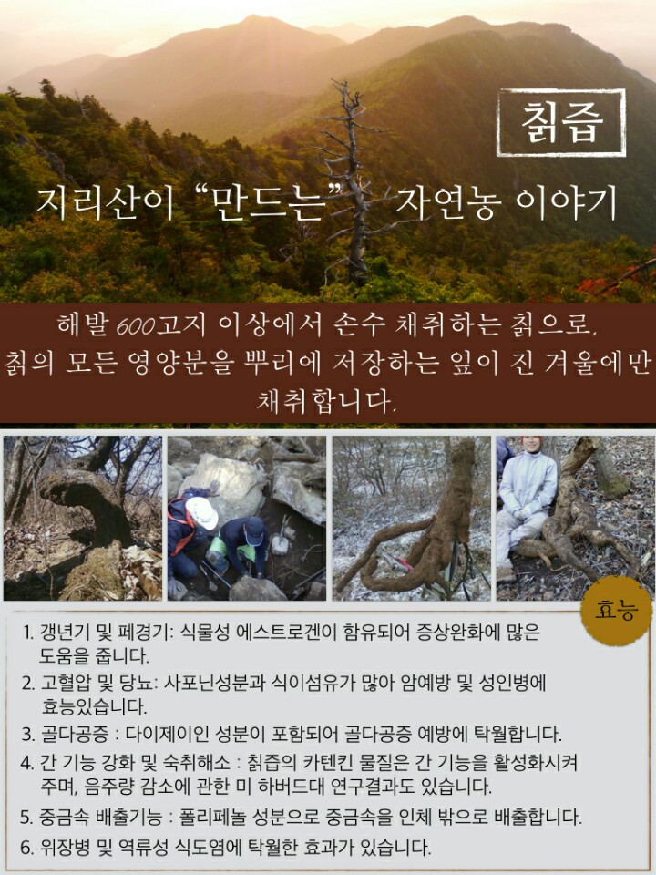  생칡즙 짜는 작업을 이제 마무리 하려 합니다