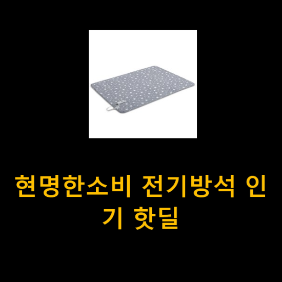 현명한소비 전기방석 인기 핫딜 현명한소비 전기방석 인기 핫딜