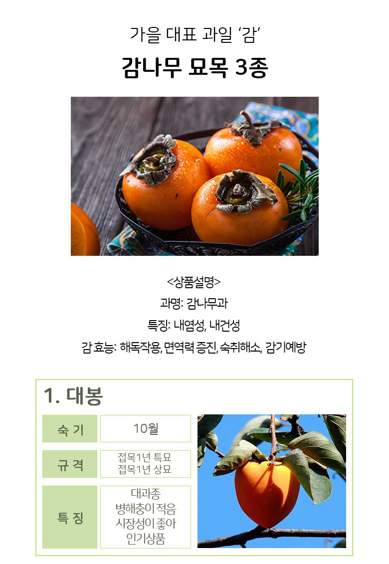누구나 손쉽게 키우는 감나무 (대봉,단감,흑감) : 네이버 블로그