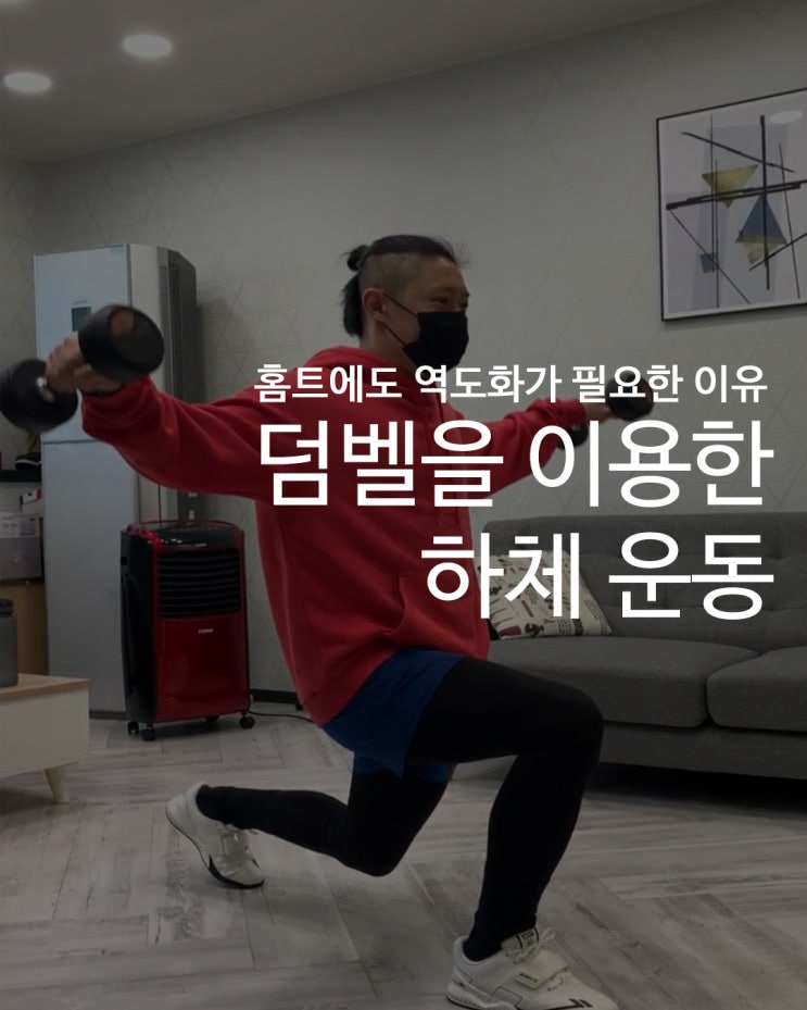  [홈트에도 역도화가 필요한 이유] 홈트의 전성시대_콜카 역도화와 함께 덤벨 하체 운동하기 :: 덤벨 스쿼트ㅣ덤벨런지