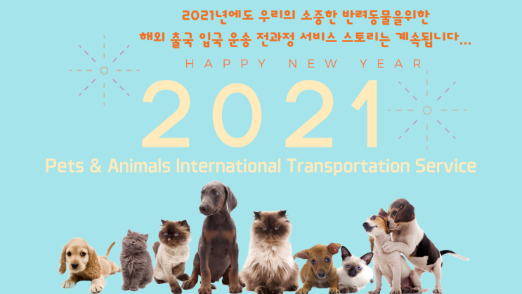  고양이출국 고양이 반려동물 해외운송 카고 검역 통관 [이민 주재원]