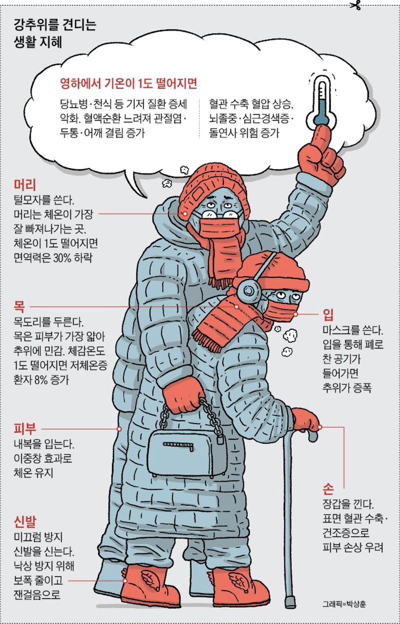 스트레이트 (정통) 사진 : 네이버 블로그, image size:800x1247