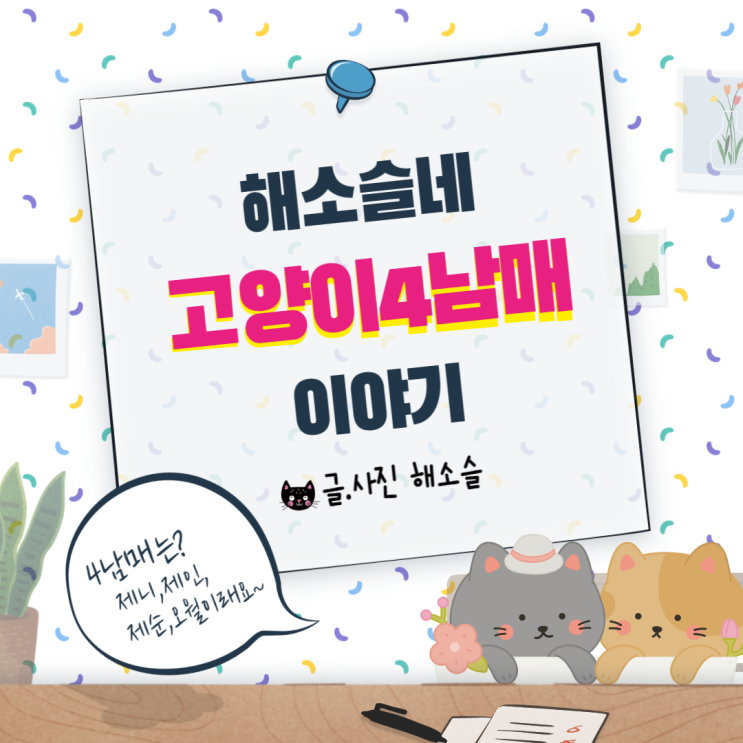  해소슬네 고양이4남매 이야기