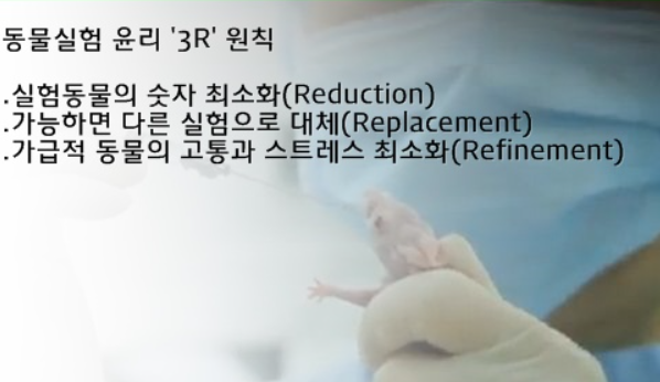 동물실험 찬성 근거 / 반대 근거 생각 정리 : 네이버 블로그 동물실험 찬성 근거 / 반대 근거 생각 정리 : 네이버 블로그